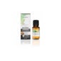Alecrim Verbenone (rosmarinus Officinalis) Bio 30ml Terpenic