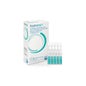Xanternet 20 Estados Unidos X 04 Ml