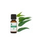 Voshuiles Eucalipto Óleo Essencial de Mentol 10ml