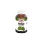 O Celeiro Ginkgo Biloba 600mg 250capsules