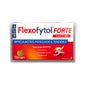 Tilman Flexofytol Forte 14comp