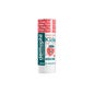 Dermophil Stick Kids Strawberry 4g