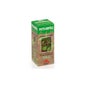 Intersa Phyto Ginkgo Biloba 50ml