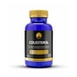 Phytofarma Colesterol 90 cápsulas