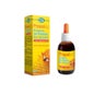 Echinacea Propolaid sem álcool 50ml