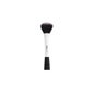 Baía de White Powder Brush