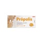 Sawes Propolis rebuçados de sabor laranja sem açúcar 22g