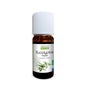 Proposta de Óleo Essencial Orgânico Eucalipto Radiata 10ml