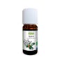 Proposta Nature Aceite Esencial Saro 10ml