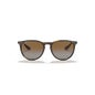 Ray-Ban Lentes de Sol Erika Rb4171 1ud