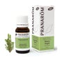PranarÌ «m BIO fir óleo essencial preto 10ml