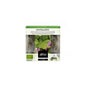 Alma Home Infusão Menta Menta Pennyroyal 15 Sacos