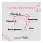 Sistema Imunitário Optimizado 30caps