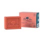 Champô Dr. Tree Solid 2 In 1 Fortress 75g