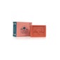 Champô Dr. Tree Solid 2 In 1 Fortress 75g