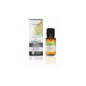 Basil Essential 10ml Óleo Essencial