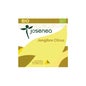 Josenea ginger citrus bio box 15 pirâmides