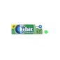 Pastilha elástica Orbit Peppermint 10 peças