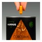 Aldous Bio Cúrcuma com Jengibre e Pimienta Negra 250caps