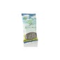 Gordolobo Na Planta 10 Gr