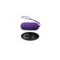 Controle Remoto Intenso Flippy I Egg Lilac 1 pc