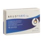 BrudySec 1