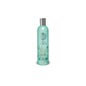 Natura Siberica shampoo anti-caspa 400ml