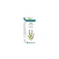 Óleo essencial bio salvia 10ml