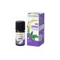 Incenso Naturactiv He Bio 5ml