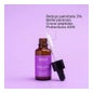 Segle Clinical Facial Serum Noche Tinolvital 30 Ml Concept V Design,