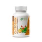 Chitosan + Chá Verde GHF + Vitamina C 600mg 100cáps