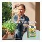 Kneipp delgaplant Infusão 40 saquetas