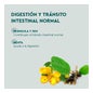 Kneipp delgaplant Infusão 40 saquetas