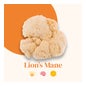 French Mush Lion's Mane Bio 56 Pérolas