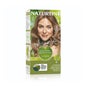 Louro de trigo Naturtint 8N