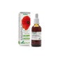 Extracto Amapola 50ml Xxi Soria Natural
