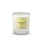 Cereria Molla Candle Madagascar Baunilha 1pc