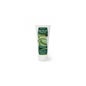 Plameca Aloe Vera Gel Tópico 200ml