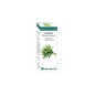 Bio Óleo Essencial Estragão 10 Ml.