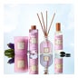 Collines de Provence Bouquet Perfumado Patchouli & Tonka 100ml
