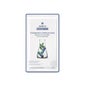 Sesderma Beautytreats Máscara Complexo Vitamínico Rico 25 ml
