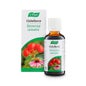 A. Vogel Cistoforce Gotas 50ml