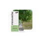 Ravensara Bio 10ml Óleo Essencial