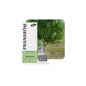 Ravensara Bio 10ml Óleo Essencial