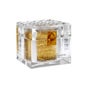 Q77 + Gold Regeneration Cream 250 ml