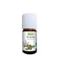 Sobre a Natureza Ele Hemlock Orgânico 5ml