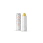 Janine Benoit Baume des Mayas Batom Cuidado Labial 4ml