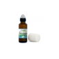 Sobre a Nature Tete/Tempes Rollon 5ml