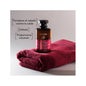 Apivit Toning Shampoo Feminino Queda de Cabelo 250ml