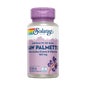 Solaray Saw Palmetto 60 pérolas